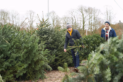 a-couple-buying-a-christmas-trees-at-a-pop-up-shop-in-the-norfolk-countryside.avif