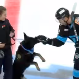 politiehond-bijt-ijshockeyers-in-belarus.jpg