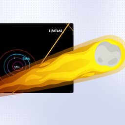 Explainer | Waarom deze komeet zorgt voor discussies over buitenaards leven