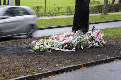 2025-12-08-12-09-42-den-haag-bloemen-ter-nagedachtenis-aan-de-slachtoffers-van-het-auto-ongeluk-op-d.webp