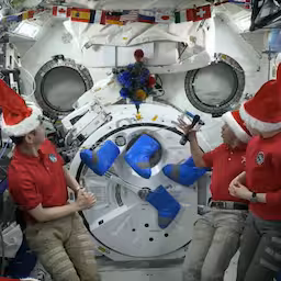 astronauten-tonen-versiering-tijdens-kersttoespraak-hebben-kleine-kerstboom.jpg