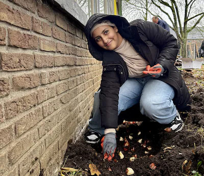 de-tulpenbollen-werden-geplant-bij-basisschool-de-piramide-in-rijsoord.webp