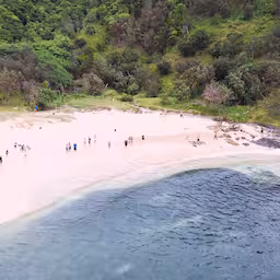 drone-filmt-tientallen-haaien-die-dicht-bij-australisch-strand-op-vis-jagen.jpg
