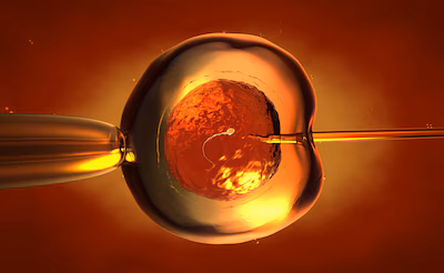 eiceldonatie-3d-illustration-of-an-artificial-insemination-or-in-vitro-fertilization-of-an-egg-cell.avif