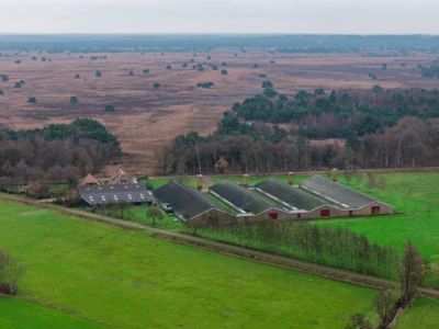 ermelo-speuld-kalkoenhouderij-aan-de-garderenseweg-60-grenzend-aan-natuur-animatie-officieel-id-2662.webp