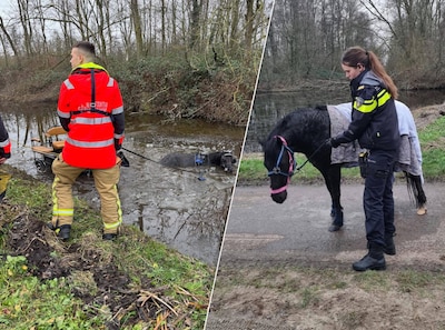 het-paard-is-door-de-brandweer-uit-het-water-gehaald-het-paard-maakt-het-verder-goed.jpeg