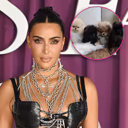 kim-kardashian-krijgt-kritiek-vanwege-kerstcadeaus-puppys-zijn-geen-knuffels.jpg