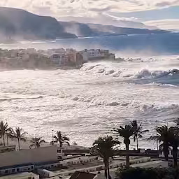meerdere-doden-door-golven-bij-tenerife-waarschuwingen-in-de-wind-geslagen.jpg