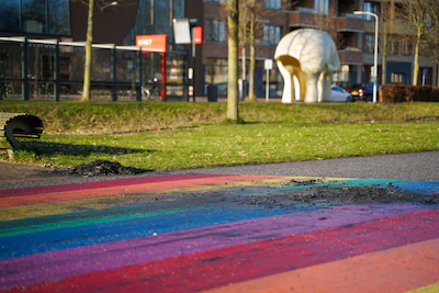 op-het-regenboogzebrapad-in-dordrecht-is-brand-gesticht.webp