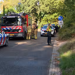 politie-vraagt-alertheid-inwoners-herkenbosch-in-bossen-na-dood-en-vermissing.jpg