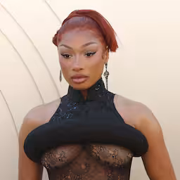 rapper-megan-thee-stallion-wint-rechtszaak-tegen-pestende-youtuber.jpg