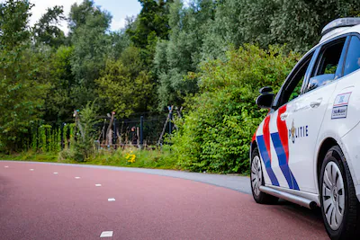 serie-afgekocht-adr-hoogvliet-rotterdam-24-07-2024-sfeerbeeld-park-hoogvliet-waar-politie-op-zoek-is.webp