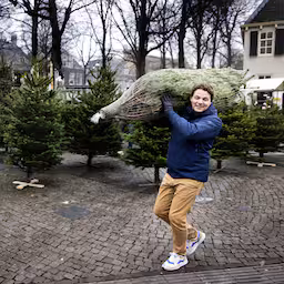 sinterklaas-is-weer-weg-en-dus-kopen-nederlanders-direct-een-kerstboom.jpg