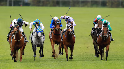 sydney-australia-november-04-jockeys-raise-their-whips-in-race-8-during-sydney-racing-at-rosehill-ga.avif