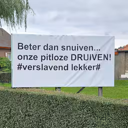 verkiezing-slechtste-slogan-van-start-soms-zit-het-mee-soms-zit-het-tegel.jpg