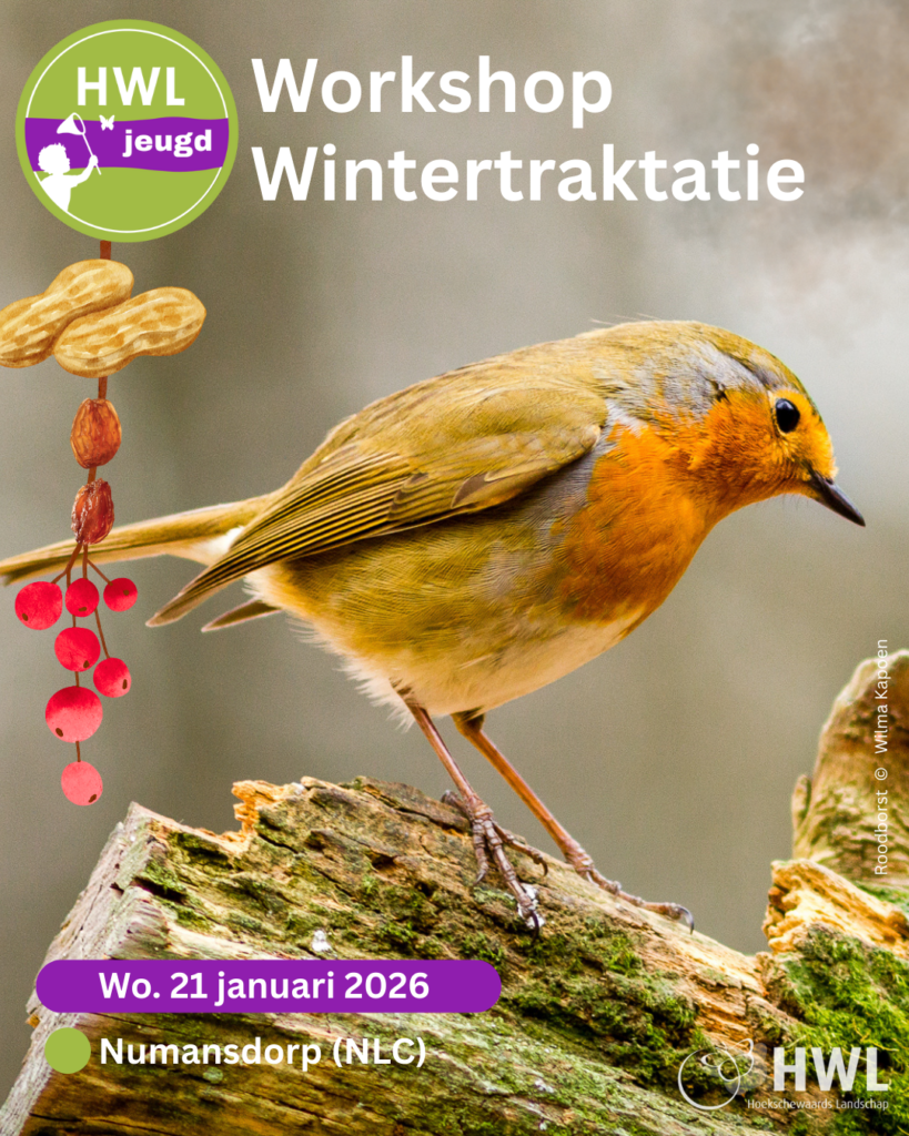 Workshop-Vogels-en-wintertraktatie-819x1024.png