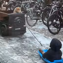 bas-smit-filmt-hoe-kinderauto-slee-met-jongetje-door-amsterdam-trekt.jpg