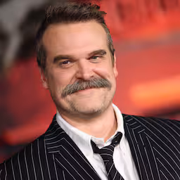 david-harbour-trekt-zich-wegens-stranger-things-terug-uit-dramafilm-behemoth.jpg