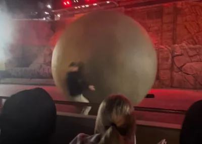 de-disney-medewerker-probeert-de-enorme-bal-te-stoppen.webp