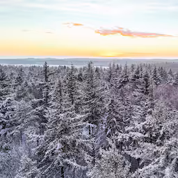 dronebeelden-tonen-betoverend-winters-natuurgebied-in-noord-nederland.jpg