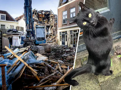 kat-kerel-van-merijn-en-jannina-was-vermist-na-de-explosies-in-de-visscherssteeg-in-utrecht-maar-is.webp