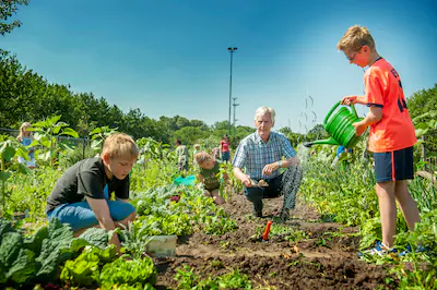 kinderen-leren-in-de-moestuin-bij-duurzaamheidscentrum-weizigt-in-dordrecht-alles-over-tuinieren.webp