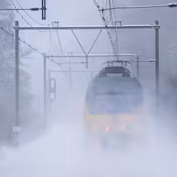 live-sneeuw-ns-adviseert-reis-uit-te-stellen-ook-lange-sneeuwfiles-op-de-weg.jpg