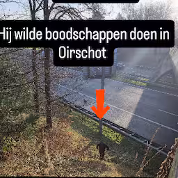 politie-bekeurt-oezbeek-die-over-snelweg-loopt-om-boodschappen-te-doen.jpg