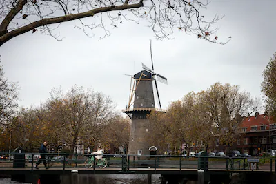 serie-afgekocht-c-roel-dijkstra-fotografie-foto-dennis-wisse-schiedam-molen-de-walvisch.webp