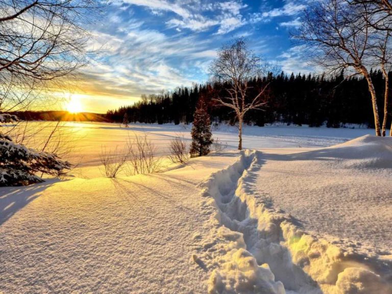 winter-landscape-636634_12802028129.jpg