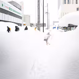 sneeuw-teistert-noord-japan-dertig-doden-en-ruim-honderd-zwaargewonden.jpg